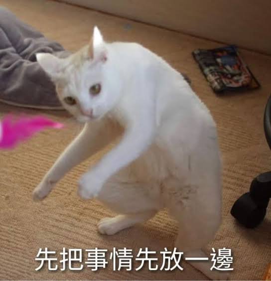 出清系列這裡下單
